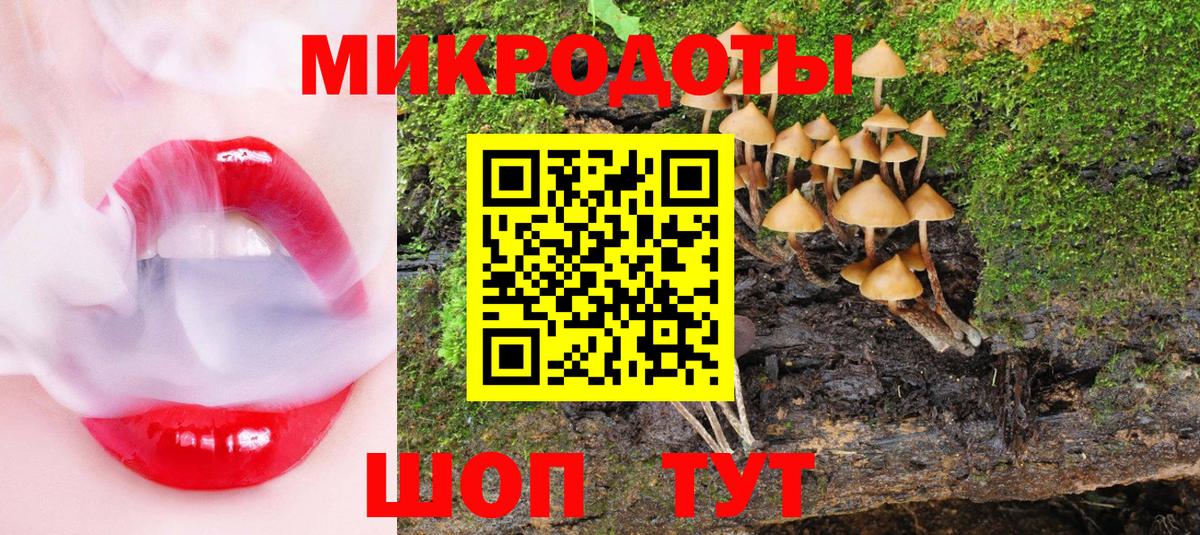 Псилоцибиновые грибы мицелий  Вход с VPN  Саров 