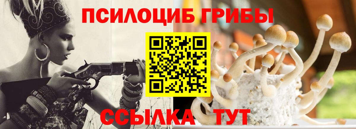 Псилоцибиновые грибы мицелий Саров